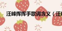 汪峰揮揮手歌詞含義(汪峰揮揮手歌詞)