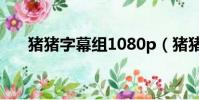 豬豬字幕組1080p(豬豬字幕組論壇)