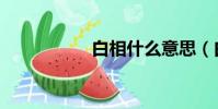 白相什么意思(白相)