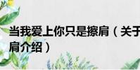 當我愛上你只是擦肩(關于當我愛上你只是擦肩介紹)