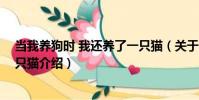 當我養狗時 我還養了一只貓(關于當我養狗時 我還養了一只貓介紹)