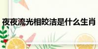 夜夜流光相皎潔是什么生肖(夜夜流水無情)