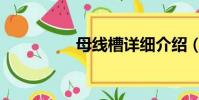母線槽詳細介紹(母線)