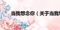 當我想念你(關于當我想念你介紹)