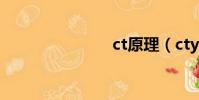 ct原理(cty)