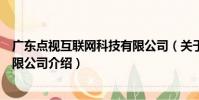 廣東點視互聯網科技有限公司(關于廣東點視互聯網科技有限公司介紹)