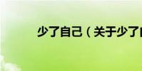 少了自己(關于少了自己簡介)