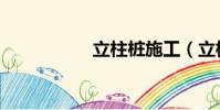 立柱樁施工(立柱樁)