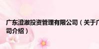廣東澄澈投資管理有限公司(關于廣東澄澈投資管理有限公司介紹)