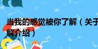 當我的感覺被你了解(關于當我的感覺被你了解介紹)