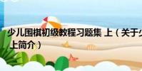少兒圍棋初級教程習題集 上(關于少兒圍棋初級教程習題集 上簡介)