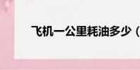 飛機一公里耗油多少(飛酷小說)
