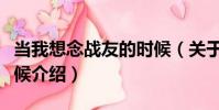 當我想念戰友的時候(關于當我想念戰友的時候介紹)