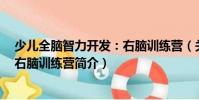 少兒全腦智力開發:右腦訓練營(關于少兒全腦智力開發:右腦訓練營簡介)