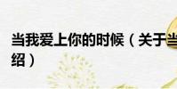當我愛上你的時候(關于當我愛上你的時候介紹)