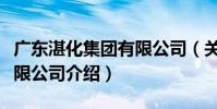 廣東湛化集團有限公司(關于廣東湛化集團有限公司介紹)