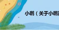 小?(關于小?簡介)