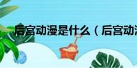 后宮動漫是什么(后宮動漫是什么意思)