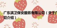 廣東濱衛保安服務有限公司(關于廣東濱衛保安服務有限公司介紹)