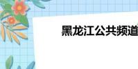 黑龍江公共頻道直播