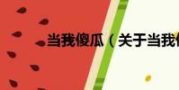 當我傻瓜(關于當我傻瓜介紹)