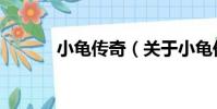 小龜傳奇(關于小龜傳奇簡介)