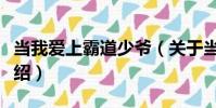 當我愛上霸道少爺(關于當我愛上霸道少爺介紹)