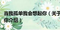 當我孤單我會想起你(關于當我孤單我會想起你介紹)