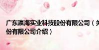 廣東瀛海實業科技股份有限公司(關于廣東瀛海實業科技股份有限公司介紹)