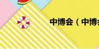 中博會(中博會)