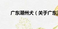廣東潮州犬(關于廣東潮州犬介紹)