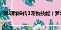 夢幻群俠傳3寵物技能(夢幻群俠傳3寵物)
