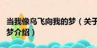 當我像鳥飛向我的夢(關于當我像鳥飛向我的夢介紹)