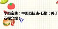 學畫寶典:中國畫技法·石榴(關于學畫寶典:中國畫技法·石榴介紹)