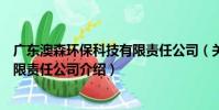 廣東澳森環保科技有限責任公司(關于廣東澳森環保科技有限責任公司介紹)