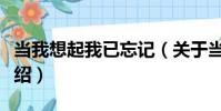 當我想起我已忘記(關于當我想起我已忘記介紹)