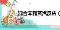 混合苯和蒸汽反應(混合苯)
