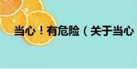 當心!有危險(關于當心!有危險介紹)
