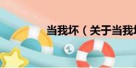 當我壞(關于當我壞介紹)