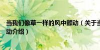 當我們像草一樣的風中顫動(關于當我們像草一樣的風中顫動介紹)