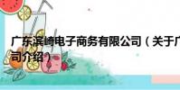 廣東濱崎電子商務有限公司(關于廣東濱崎電子商務有限公司介紹)
