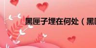 黑匣子埋在何處(黑匣子材質)