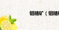 鉬精礦(鉬精礦)