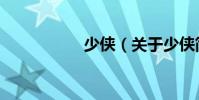 少俠(關于少俠簡介)