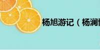 楊旭游記(楊瀾博客)