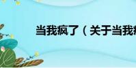 當我瘋了(關于當我瘋了介紹)