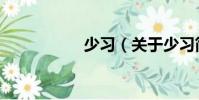 少習(關于少習簡介)