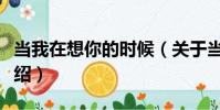當我在想你的時候(關于當我在想你的時候介紹)
