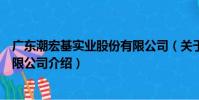 廣東潮宏基實業股份有限公司(關于廣東潮宏基實業股份有限公司介紹)