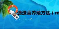 迷迭香養殖方法(midi鍵盤)